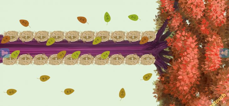 Kindergarten Courses – K3 Math – Collecting Leaves