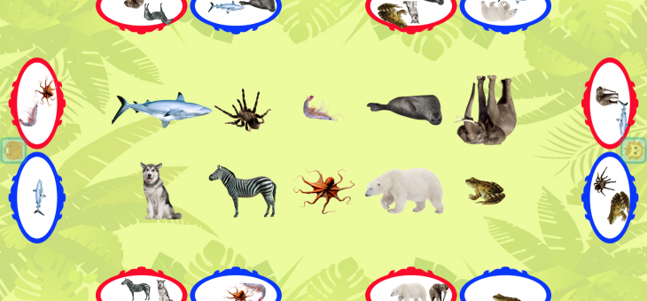 Kindergarten Courses General Courses – Biologics, Animal Categories
