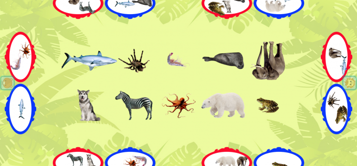 Kindergarten Courses – General Courses – Biologics, Animal Categories